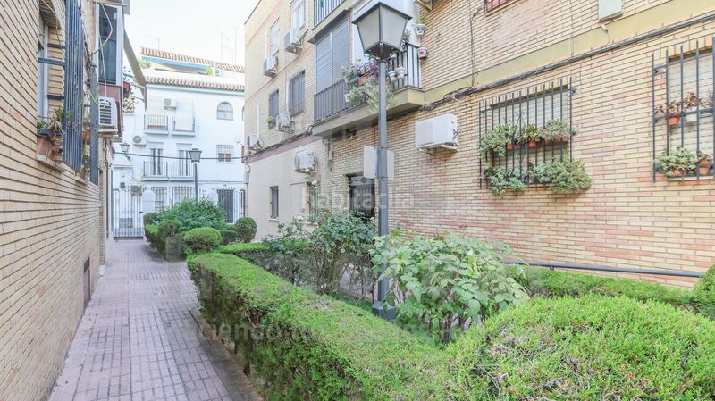 Foto 00e1fb1d-57bf-4ac7-8764-611da64cc5ac. Pis amb calefacció a Triana Casco Antiguo Sevilla