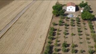 Bauernhof  Diseminado diseminados. Finca rústica con vivienda, piscina y olivar en azuaga