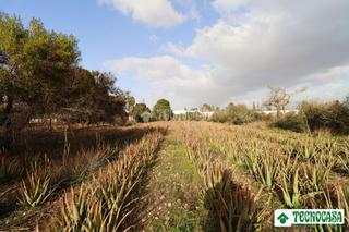 Masia  C. abeto. Casa rural en venta en níjar