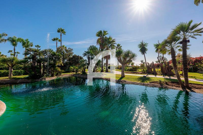 Foto 34eb21ab-efc7-435b-bb9a-7dff708b7422. Flat in costalita p. andaluz i in Centro Estepona