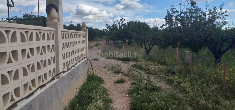 Foto 7c99e8d0-0a38-4a66-b9ee-a6d1dcf718d5. Chalet en Cheste