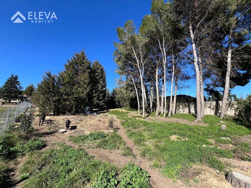 Foto 0e3e59ee-23c4-4081-a1a7-a5921ca3be87. Terreny residencial a Alpicat