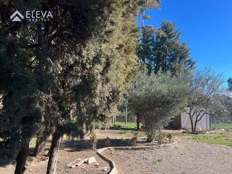 Foto 4df64535-1701-4a46-b10a-60742edd17a0. Terreny residencial a Alpicat