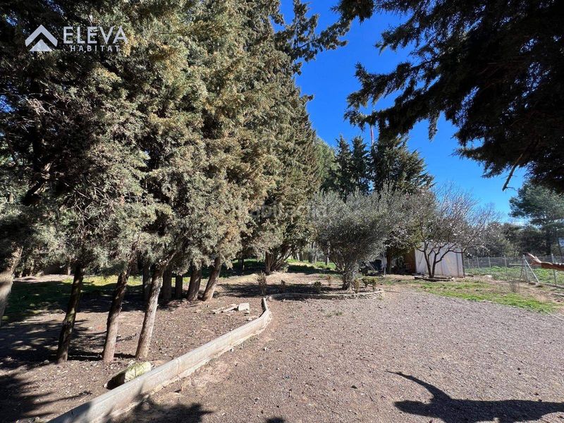 Foto 62ce6736-cb74-4dc7-af42-7fc57c40b5c8. Terreny residencial a Alpicat