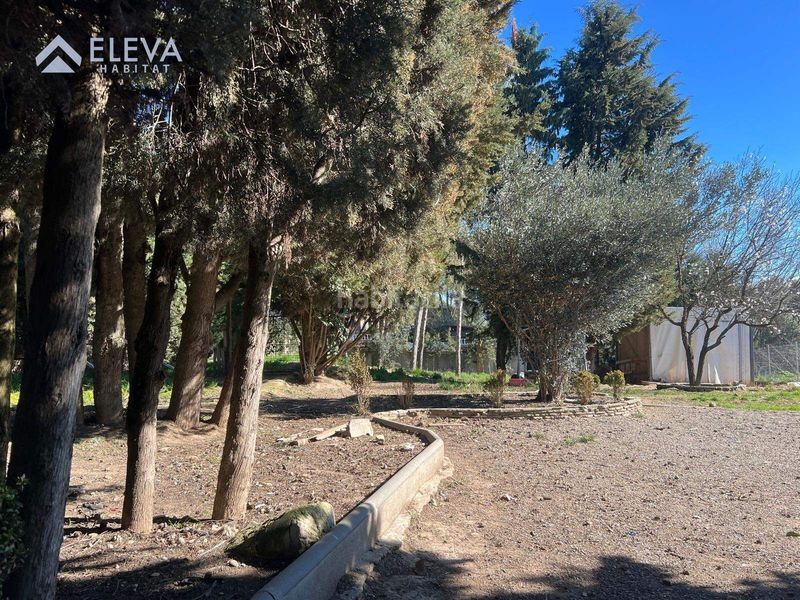 Foto 62edd9f2-81a1-46b8-90b6-2757cbe86f12. Terreny residencial a Alpicat