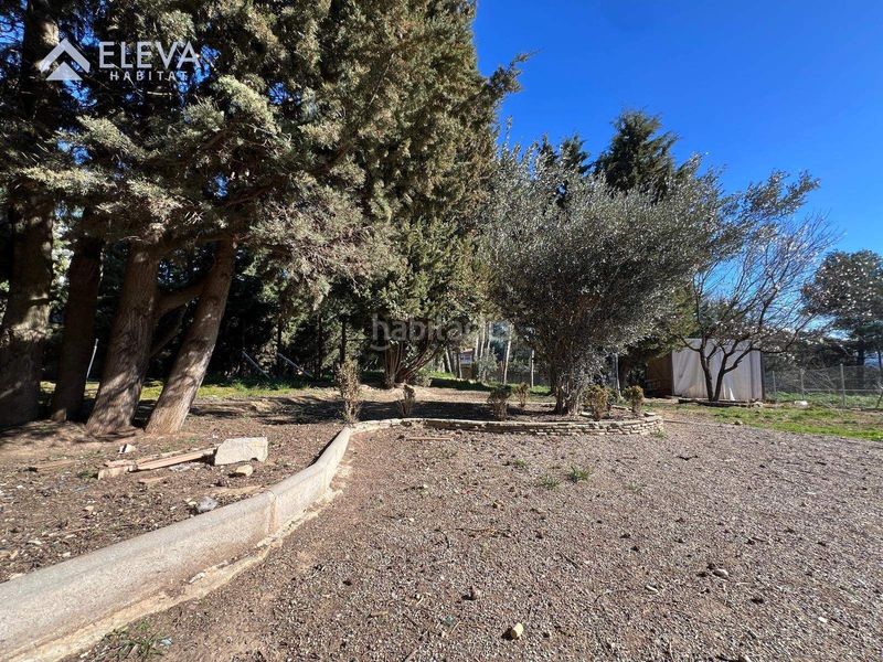 Foto ab159aff-042c-485b-9509-43834dec9e48. Terreny residencial a Alpicat