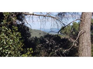 Terreno residencial en El Racó-Sant Feliu del Racó. Terreno en venta en sant feliu del racó
