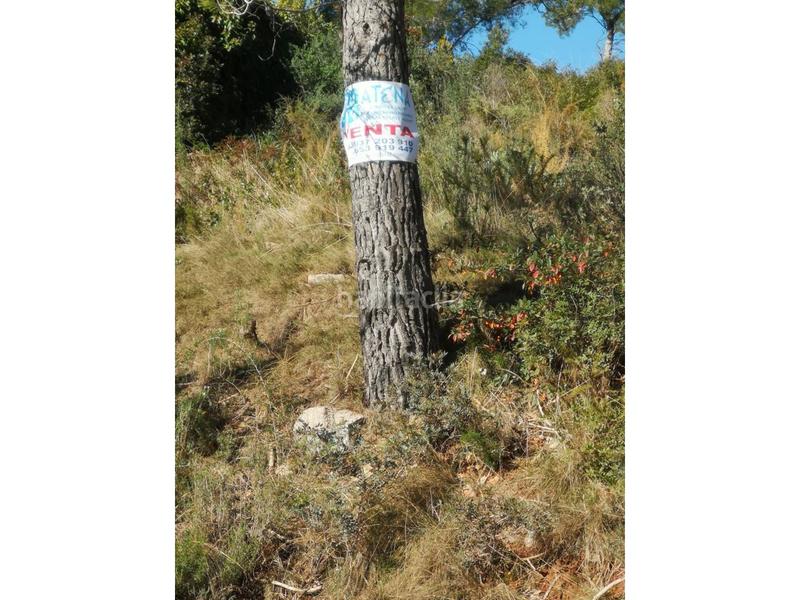 Foto 5d5099fe-8472-452d-b5f2-6eb4265ae69c. Residential plot in Airesol Castellar del Vallès