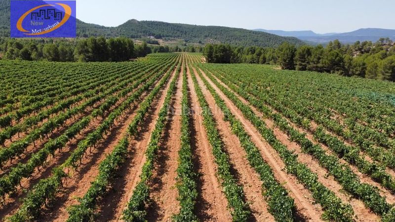 Foto 9f859316-140c-485a-8931-a6053473353f. Finca rústica a Cofrentes