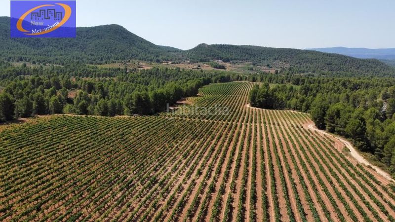 Foto adcd2550-05c6-41b9-821d-b236eca050d9. Finca rústica a Cofrentes