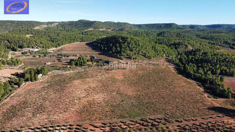 Foto beb445da-fc61-40e3-a655-9e8ac7db8436. Finca rústica a Cofrentes
