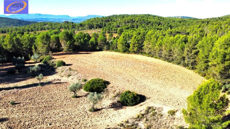 Foto c88923bb-fb3d-4412-bda3-b08c591e61b9. Finca rústica a Cofrentes