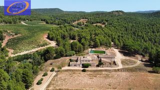 Fondo rustico in Cofrentes. En venta finca de viñedos en cofrentes de 209 hectareas