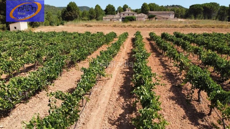 Foto fad84631-8853-490d-8869-d1fe941f2a9d. Finca rústica a Cofrentes