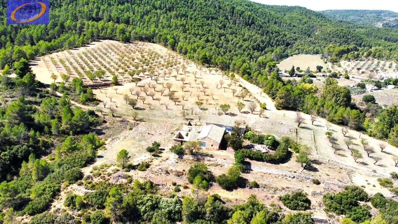 Foto fa1bca28-9889-4c37-8791-a54951890a7f. Terreno residencial finca de pastos en yatova en Yátova