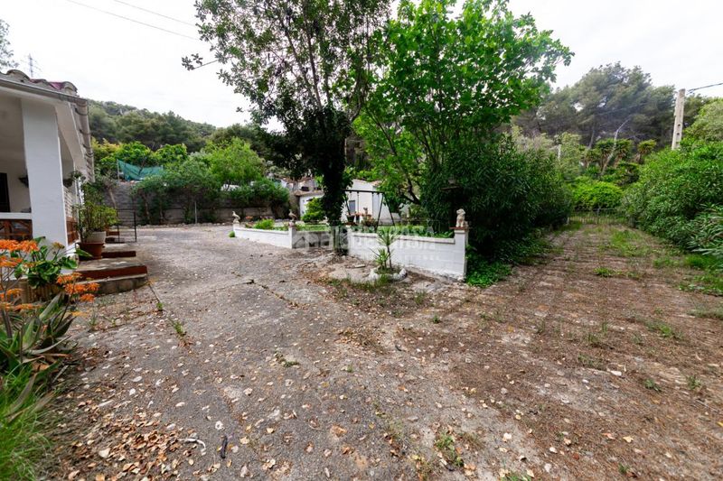 Foto 489e3d96-9c15-4f3e-9014-f8f4ff183fac. Masia amb calefacció aparcament a Mas Trader-Corral d´En Tort-Corral d´En Cona Cubelles