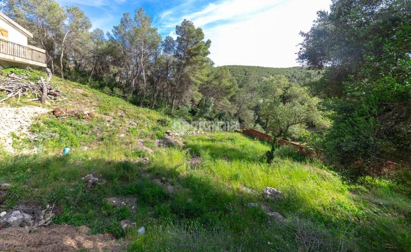 Foto beeeddb6-e7e3-44c2-9e21-6ca6fe17f8fc. Casa amb calefacció a Rodonyà