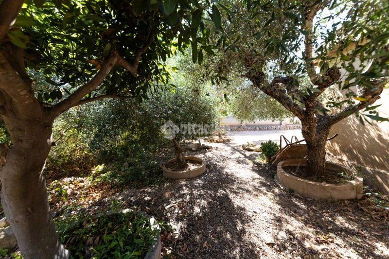 Foto 47c2e698-8cdf-4a9b-bbc6-9ce6339c164d. Casa a Montmell (El)