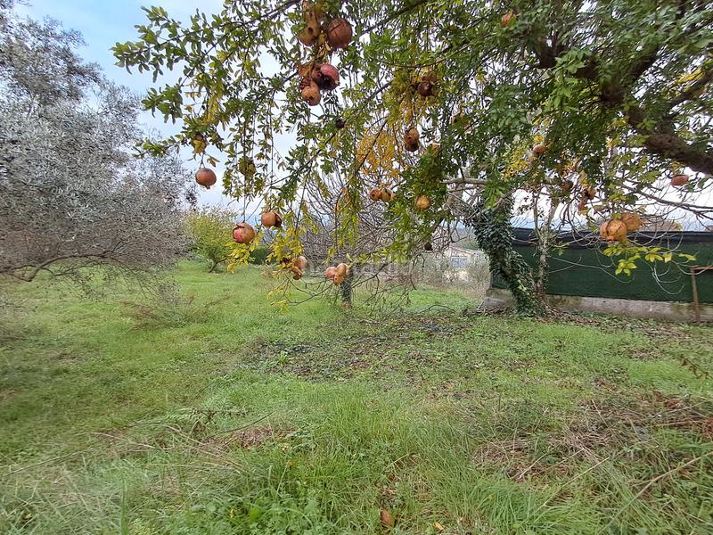 Foto 1426128b-6172-45ec-b921-a4b0017f67ae. Wohngrundstück in Sant Antoni de Vilamajor