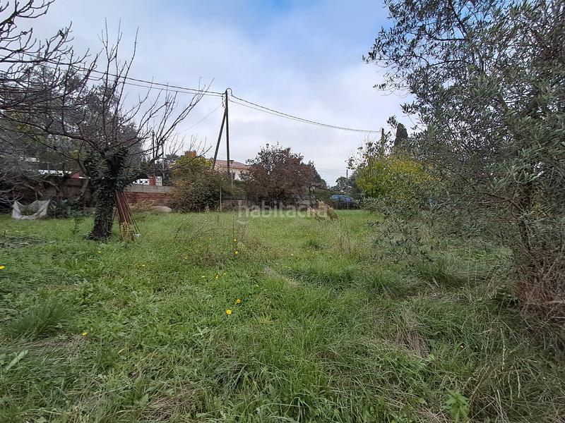 Foto 4468dc2e-42af-4fea-ba0f-4e10bbdd03ab. Wohngrundstück in Sant Antoni de Vilamajor