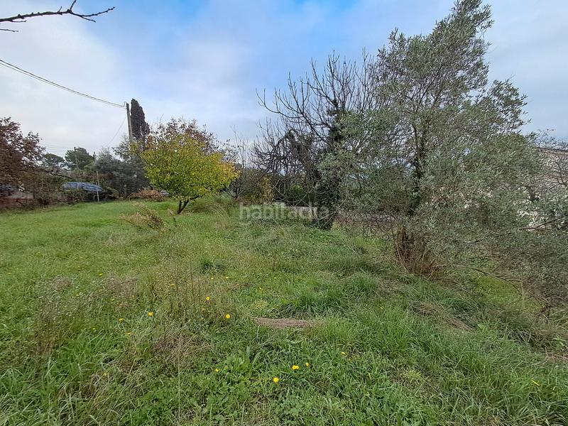 Foto b1521cd6-4aff-48ce-99aa-4ad9e46591ce. Wohngrundstück in Sant Antoni de Vilamajor
