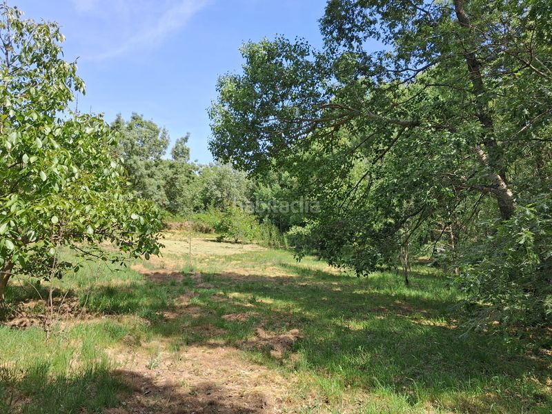Foto 372673aa-092a-4df5-b763-a16f8998922f. Finca rústica a Miraflores de la Sierra