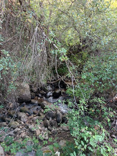 Foto 7c84df1b-99a4-4441-ba5a-932a75ac8570. Propriété dans Miraflores de la Sierra