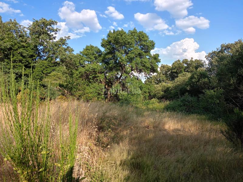 Foto bf55e42e-a48e-48ea-a18e-7f96bc183945. Propriété dans Miraflores de la Sierra