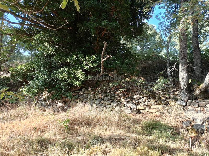 Foto cfb169af-4602-487c-8829-872628268481. Propriété dans Miraflores de la Sierra