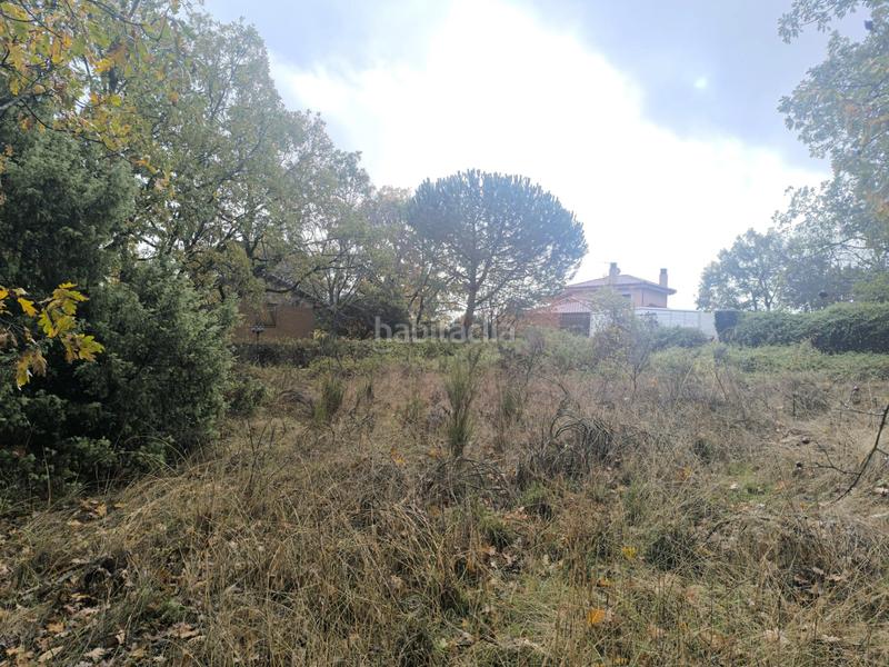 Foto 96fa36ef-d728-4374-8f4d-16138313b7ce. Wohngrundstück in Miraflores de la Sierra