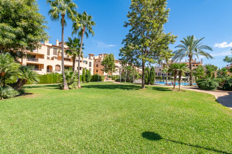 Foto 0c836fdf-4946-4789-8c85-b63bb61edf16. Appartamento con riscaldamento parcheggio piscina in Llucmajor