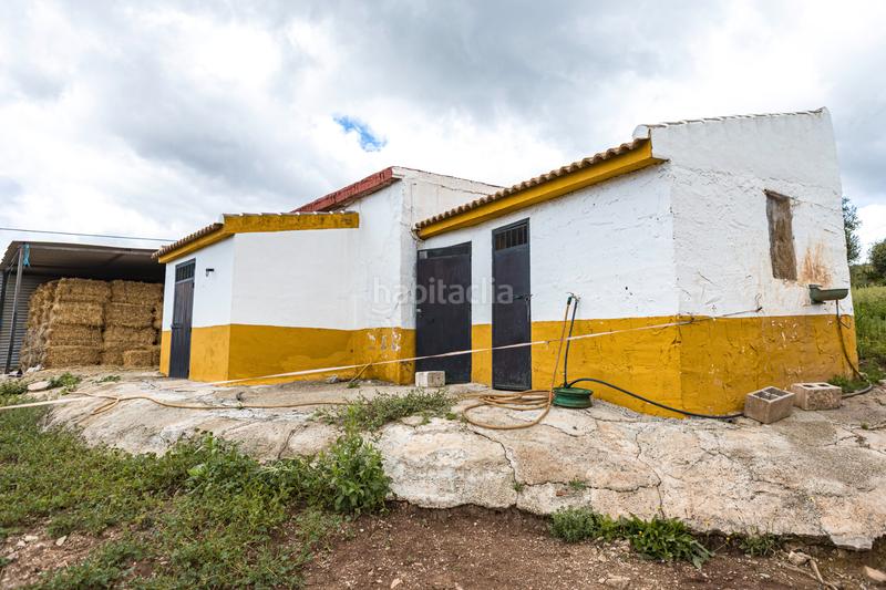 Foto 29574d12-b5cb-4dcf-a3df-f51f3bb4bb08. Pis amb xemeneia calefacció aparcament piscina a Periana