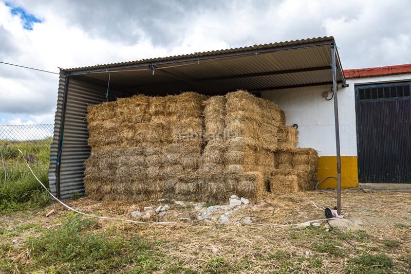 Foto 4e9095b0-44ae-49d4-8476-0446a2abe5f6. Pis amb xemeneia calefacció aparcament piscina a Periana