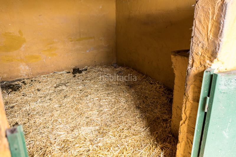 Foto 7bfb82b5-f036-45db-a0ef-9f8ae0f2e353. Pis amb xemeneia calefacció aparcament piscina a Periana