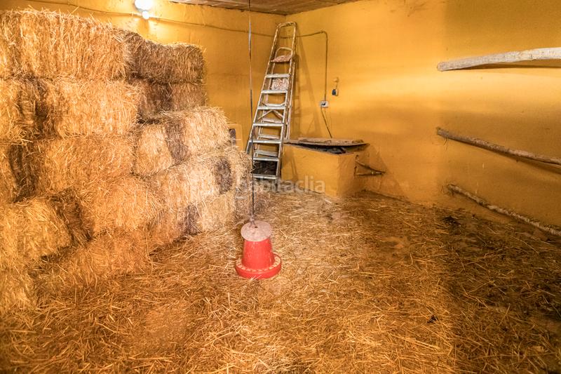 Foto cb773950-284a-4bba-813c-47292c0e2cb4. Pis amb xemeneia calefacció aparcament piscina a Periana