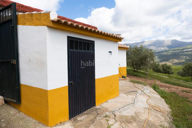 Foto d640b1e5-5662-4eab-b51d-7193460de713. Pis amb xemeneia calefacció aparcament piscina a Periana