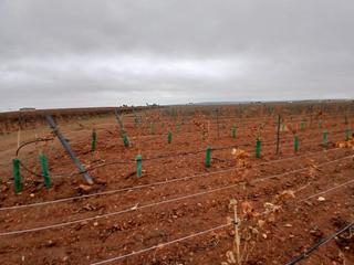 Landgut in Villarrobledo. Finca termino de villarrobledo