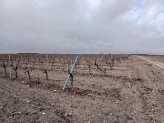 Finca rústica en Tomelloso. Finca en socuellamos