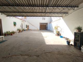 Casa pareada  Calle campomanes