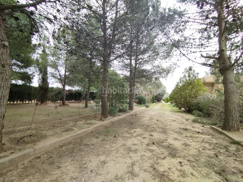 Foto 9ad76151-31b4-48e1-a07c-79b9d91006cc. Finca rústica a Argamasilla de Alba