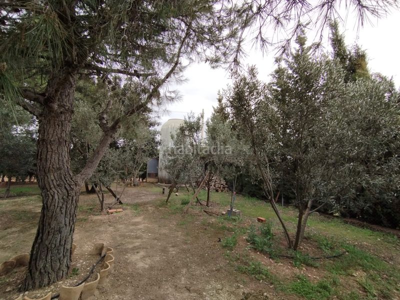 Foto a8ba5e19-2dd4-499b-bbb5-6ad0da5864e3. Finca rústica a Argamasilla de Alba