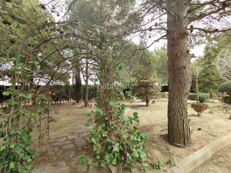 Foto d41d6831-b20c-4344-9717-4fbab8de70af. Finca rústica a Argamasilla de Alba
