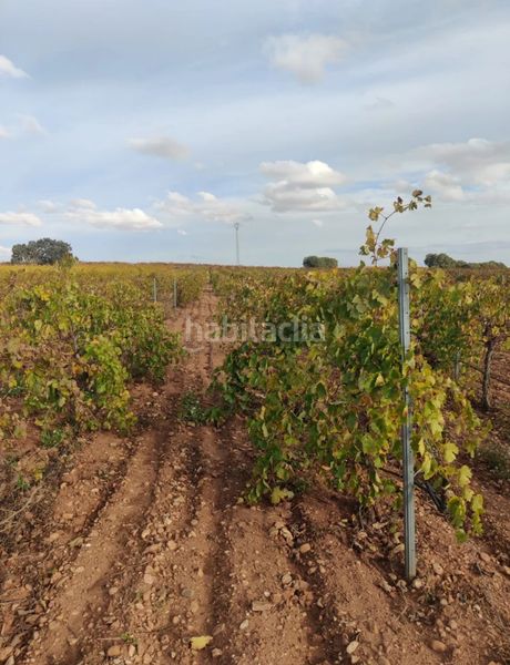 Foto d531e1ea-01bc-4cd3-a329-9de2cdd9d9e3. Finca rústica terreno en las mesas en Mesas (Las)