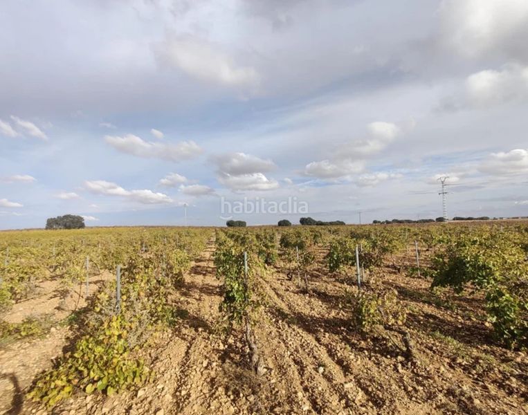 Foto dcdbfaa5-448c-43a3-9752-dfb1c536d180. Finca rústica terreno en las mesas en Mesas (Las)