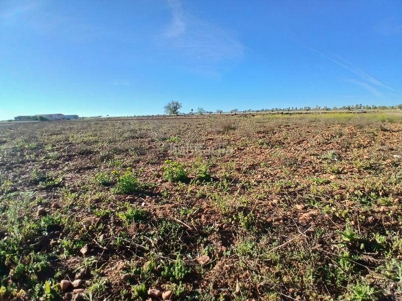 Foto 28eb1f81-e01c-418c-85f9-057212415495. Finca rústica a Tomelloso