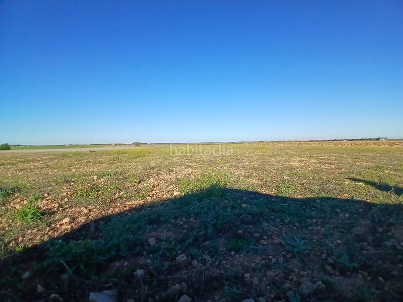 Foto 2a50a4ef-6b2b-4b65-892d-2479d8596549. Finca rústica a Tomelloso