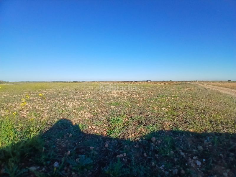 Foto 3bd840df-80a6-4b8f-8fd2-083d1e4285b8. Finca rústica a Tomelloso