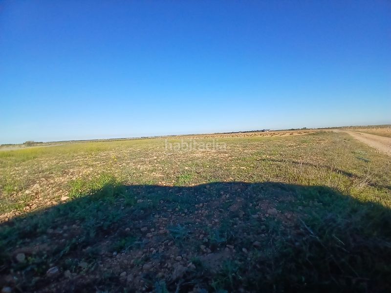 Foto 4a11bcc4-67ed-4165-9982-723f27fc1f72. Finca rústica a Tomelloso