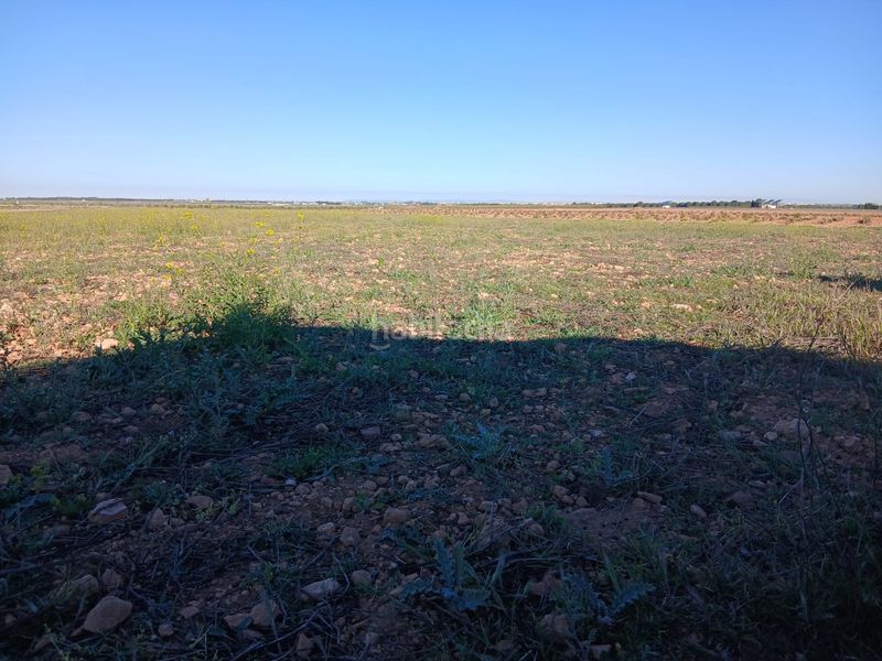 Foto 6300da6c-fd9d-48ad-9d70-84b6dc966e5a. Finca rústica a Tomelloso