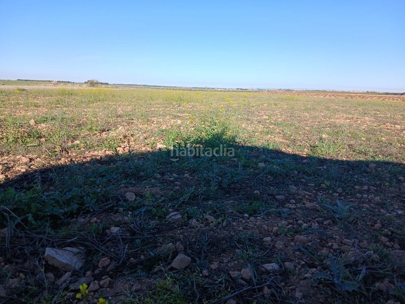 Foto 68aca042-e87b-4509-a26b-a0f2ae427039. Finca rústica a Tomelloso